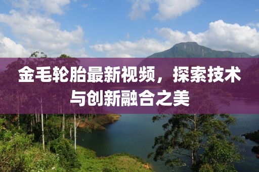 金毛轮胎最新视频，探索技术与创新融合之美