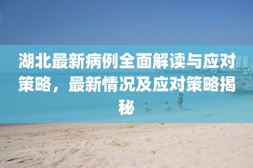 湖北最新病例全面解读与应对策略，最新情况及应对策略揭秘