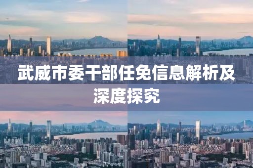 武威市委干部任免信息解析及深度探究