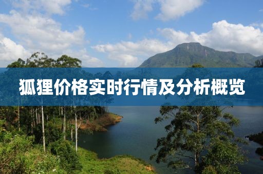 狐狸价格实时行情及分析概览