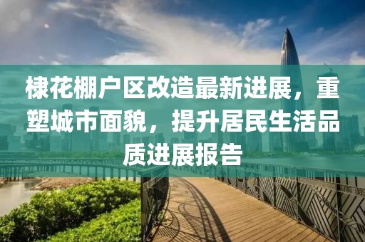 棣花棚户区改造最新进展，重塑城市面貌，提升居民生活品质进展报告