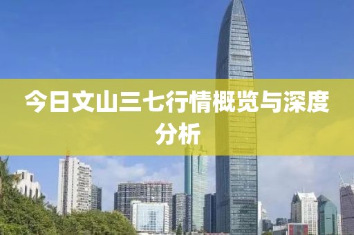 今日文山三七行情概览与深度分析