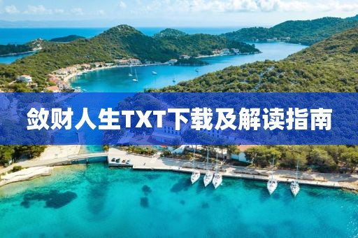 敛财人生TXT下载及解读指南
