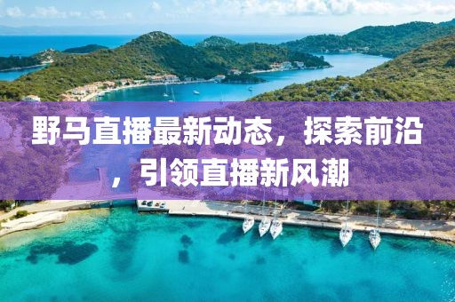 野马直播最新动态，探索前沿，引领直播新风潮