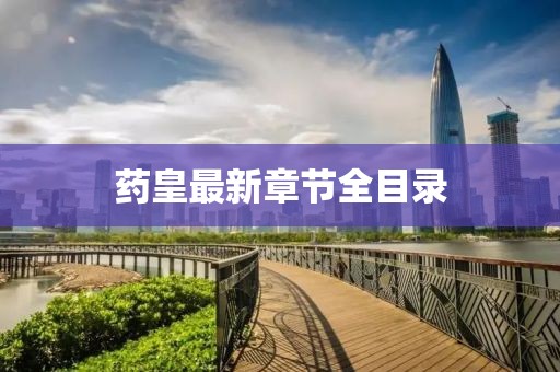 药皇最新章节全目录