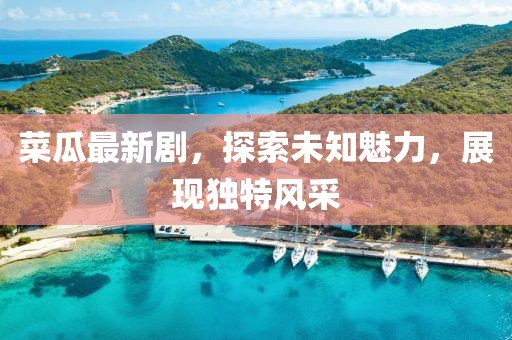 菜瓜最新剧，探索未知魅力，展现独特风采