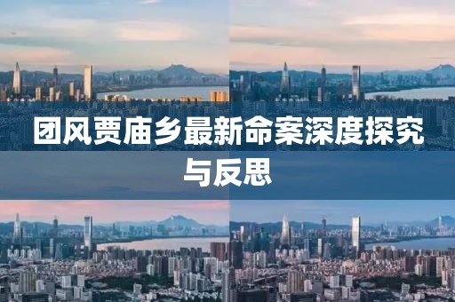 团风贾庙乡最新命案深度探究与反思
