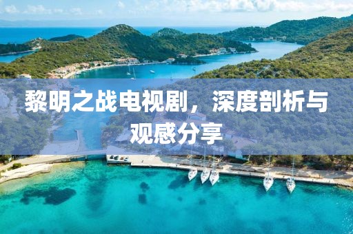 黎明之战电视剧，深度剖析与观感分享