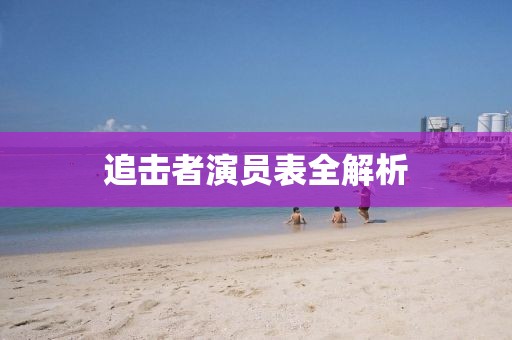 追击者演员表全解析