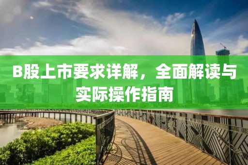 B股上市要求详解，全面解读与实际操作指南