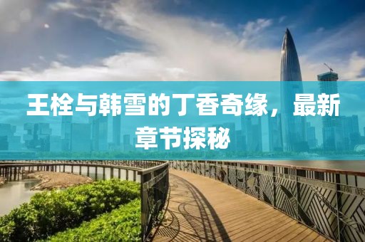 王栓与韩雪的丁香奇缘，最新章节探秘