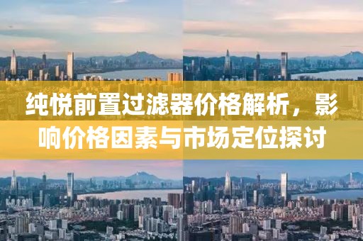 纯悦前置过滤器价格解析，影响价格因素与市场定位探讨