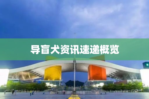 导盲犬资讯速递概览