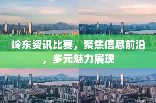 岭东资讯比赛，聚焦信息前沿，多元魅力展现