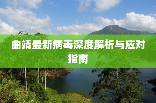 曲靖最新病毒深度解析与应对指南