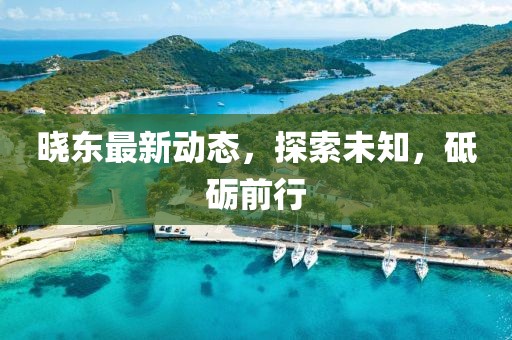 晓东最新动态，探索未知，砥砺前行