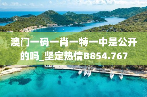 澳门一码一肖一特一中是公开的吗_坚定热情B854.767