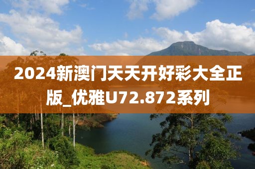 2024新澳门天天开好彩大全正版_优雅U72.872系列