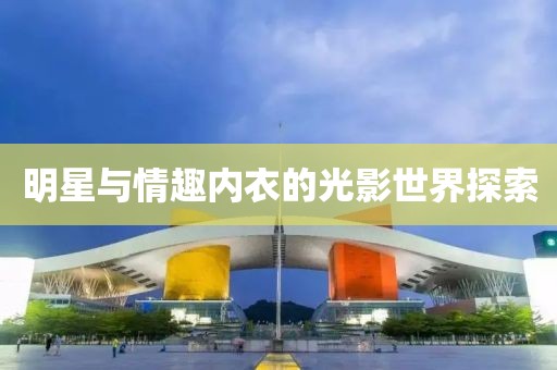 明星与情趣内衣的光影世界探索