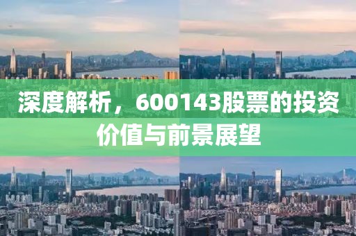 深度解析，600143股票的投资价值与前景展望