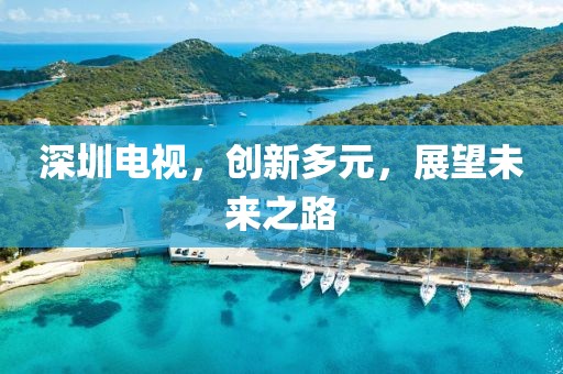 深圳电视，创新多元，展望未来之路