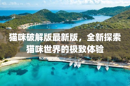 猫咪破解版最新版，全新探索猫咪世界的极致体验