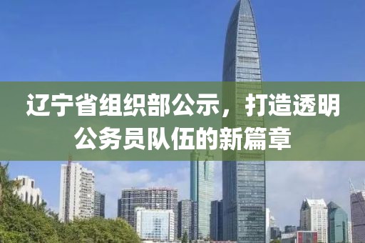 辽宁省组织部公示，打造透明公务员队伍的新篇章