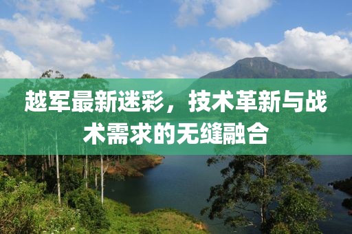 越军最新迷彩，技术革新与战术需求的无缝融合