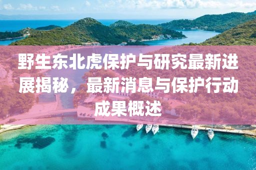 野生东北虎保护与研究最新进展揭秘，最新消息与保护行动成果概述