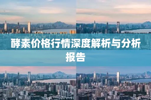 酵素价格行情深度解析与分析报告