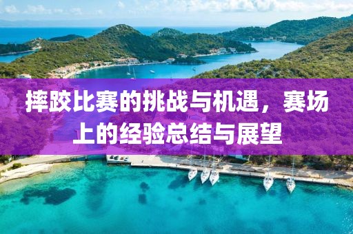 摔跤比赛的挑战与机遇，赛场上的经验总结与展望
