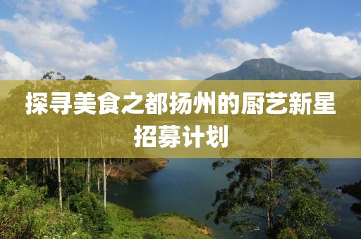 探寻美食之都扬州的厨艺新星招募计划