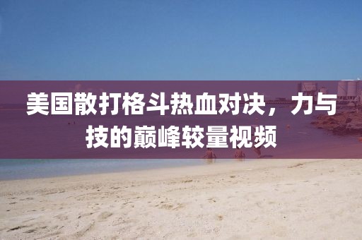 美国散打格斗热血对决，力与技的巅峰较量视频