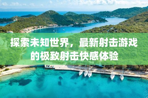探索未知世界，最新射击游戏的极致射击快感体验