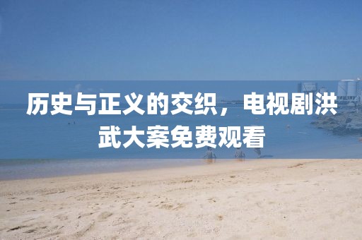 历史与正义的交织，电视剧洪武大案免费观看