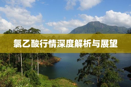 氯乙酸行情深度解析与展望