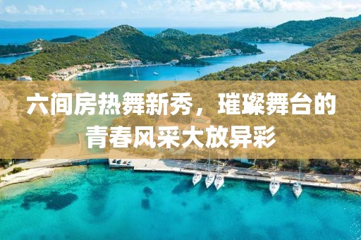 六间房热舞新秀，璀璨舞台的青春风采大放异彩
