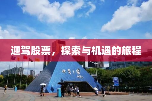 迎驾股票，探索与机遇的旅程