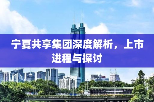 宁夏共享集团深度解析，上市进程与探讨