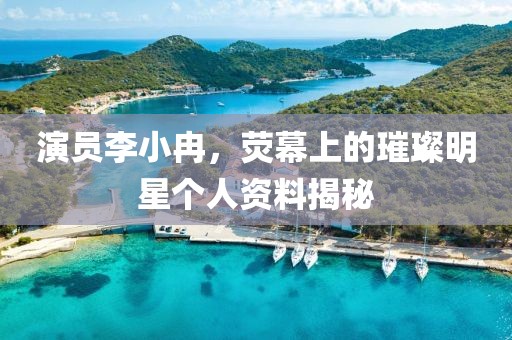 演员李小冉，荧幕上的璀璨明星个人资料揭秘