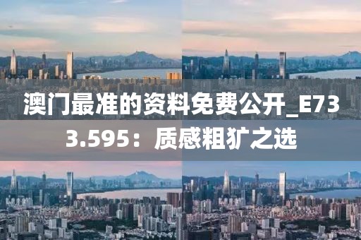 澳门最准的资料免费公开_E733.595：质感粗犷之选