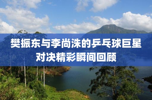樊振东与李尚洙的乒乓球巨星对决精彩瞬间回顾