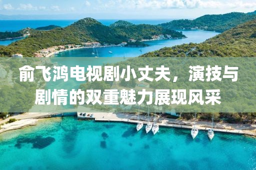 俞飞鸿电视剧小丈夫，演技与剧情的双重魅力展现风采