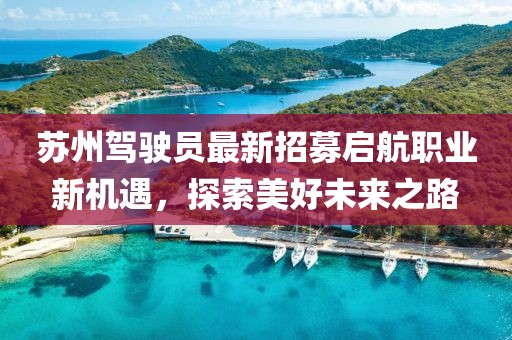 苏州驾驶员最新招募启航职业新机遇，探索美好未来之路