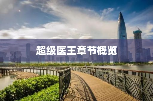 超级医王章节概览