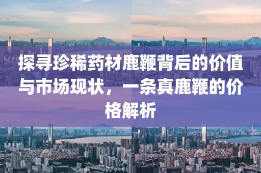 探寻珍稀药材鹿鞭背后的价值与市场现状，一条真鹿鞭的价格解析