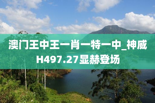 澳门王中王一肖一特一中_神威H497.27显赫登场