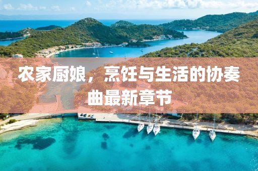农家厨娘，烹饪与生活的协奏曲最新章节