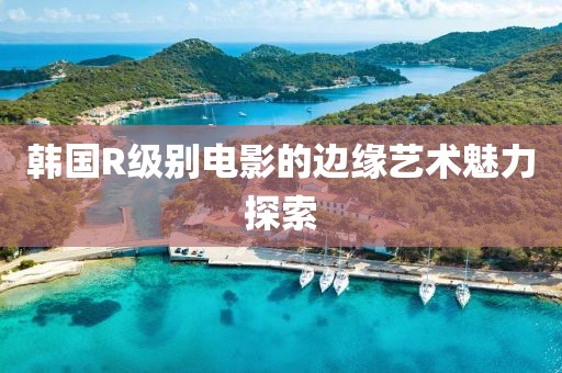 韩国R级别电影的边缘艺术魅力探索