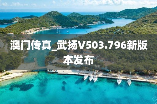 澳门传真_武扬V503.796新版本发布